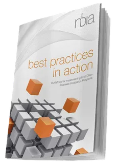 Cover of Best Practices in Action, Revised 2nd Edition